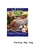 FungYue Fish Seasoning Powder 50g Seasoning Manufacturer